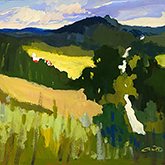 Don Cavin, Summer Fields