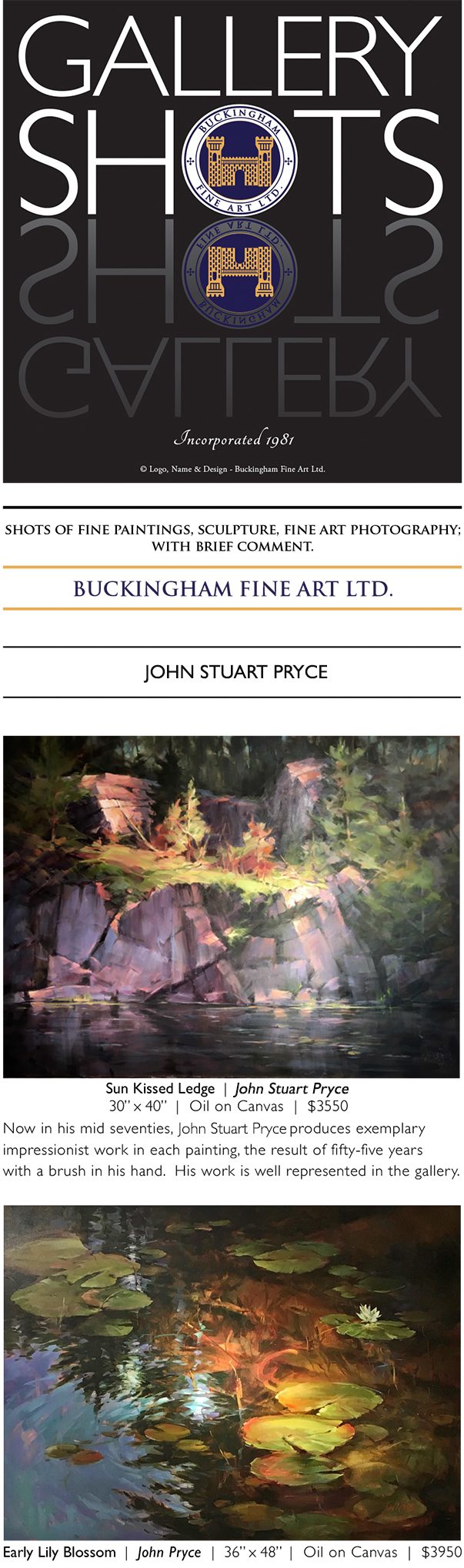 Gallery Shots - Buckingham Fine Art