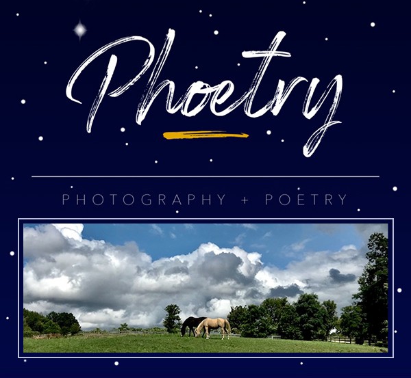 Phoetry - Photography &amp; Poetry