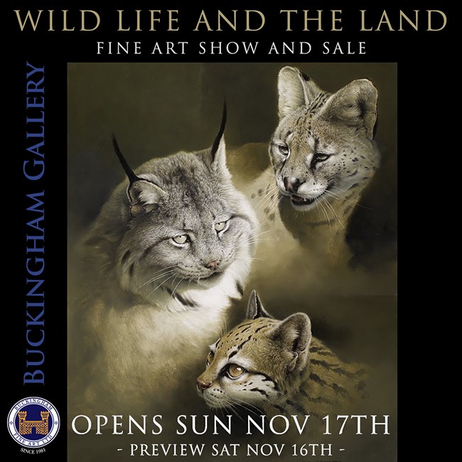 Wild Life and the Land Show - Buckingham Fine Art